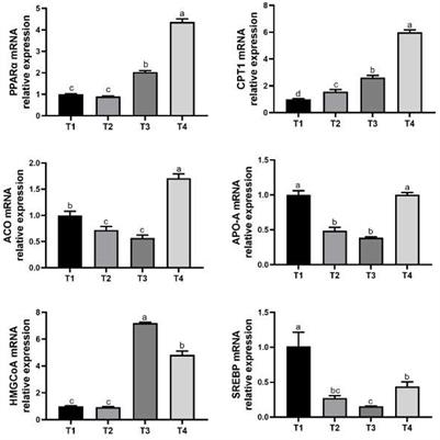 Effects of peroxisome proliferator activated receptor-α agonist on growth performance, blood profiles, gene expression related to liver fat metabolism in broilers fed diets containing corn naturally contaminated with mycotoxins